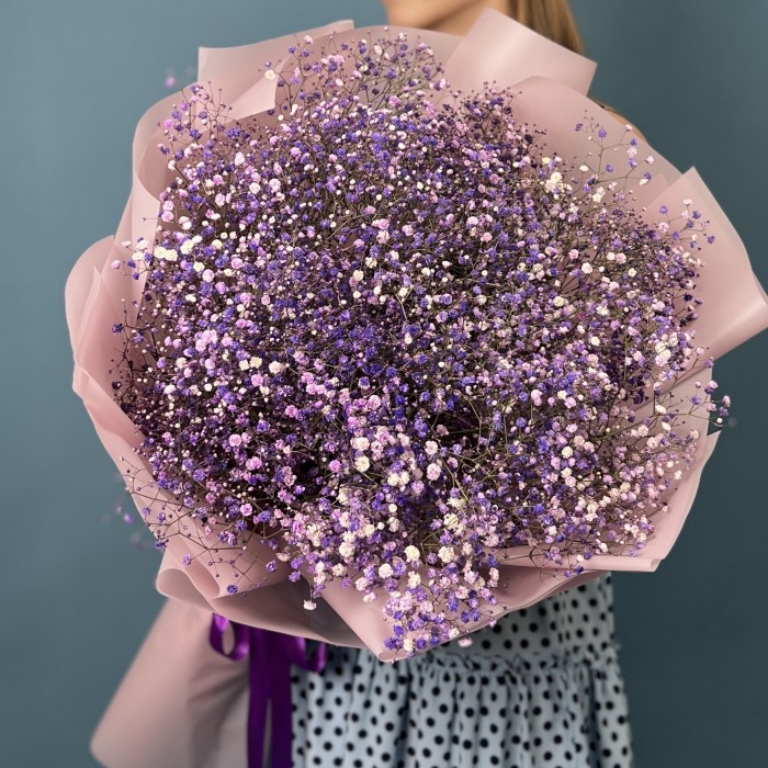 15 фиолетовых гипсофил